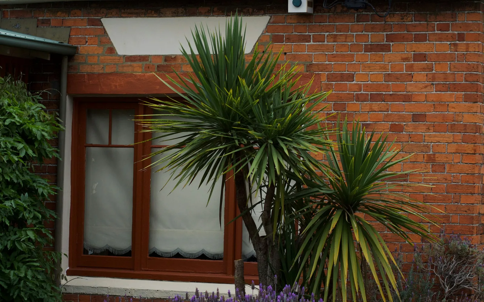 Using Equity to Buy Your Next Property: How It Works and the Risks